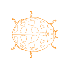Animals Insects Asian Lady Beetle Tracing Svg Vector, Free Vectors File